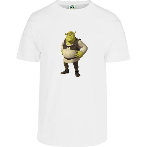 Playera Cuyo Virtuoso Shrek 045