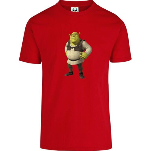 Playera Cuyo Virtuoso Shrek 045