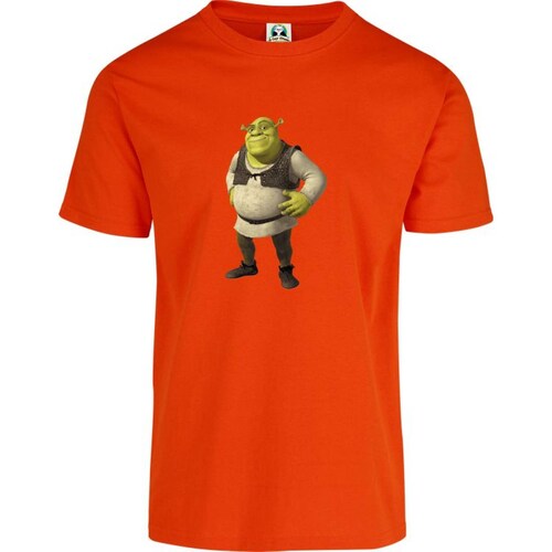 Playera Cuyo Virtuoso Shrek 045