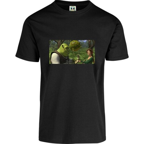 Playera Niño Niña Cuyo Virtuoso Shrek 009