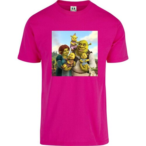 Playera Niño Niña Cuyo Virtuoso Shrek 044