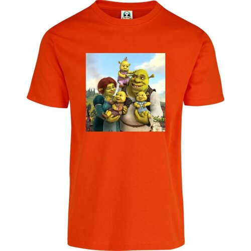 Playera Niño Niña Cuyo Virtuoso Shrek 044