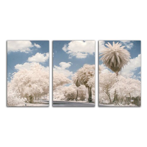 Cuadro decorativo Paisaje Árboles Blancos moderno decoración 168x86cm 3 piezas