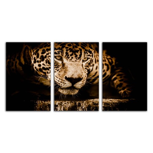 Cuadro decorativo Jaguar Animales moderno decoración 168x86cm 3 piezas