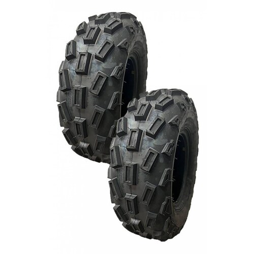 Paq 2 Llanta 22X7-10-4C AUSHINE DAV103 TL ATV AUSHINE DAV103