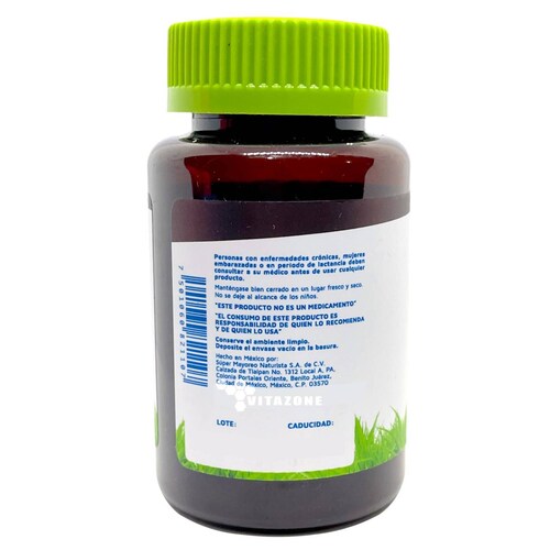 Ginkgo Biloba 90 cápsulas Vidanat 
