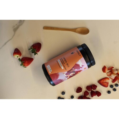 Carbs Mix Dextrosa Fructosa Electrolitos 700 g Limon Quenut 