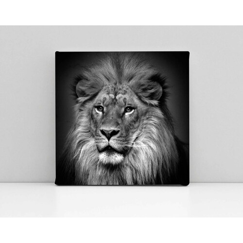 Cuadro Decorativo Canvas León Blanco y negro 70x70