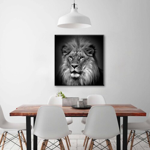 Cuadro Decorativo Canvas León Blanco y negro 70x70