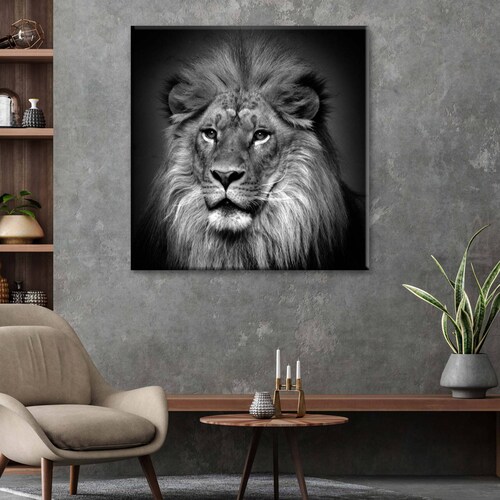 Cuadro Decorativo Canvas León Blanco y negro 70x70