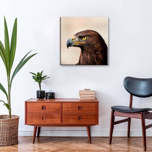 Cuadro Decorativo Canvas Águila real  70x70