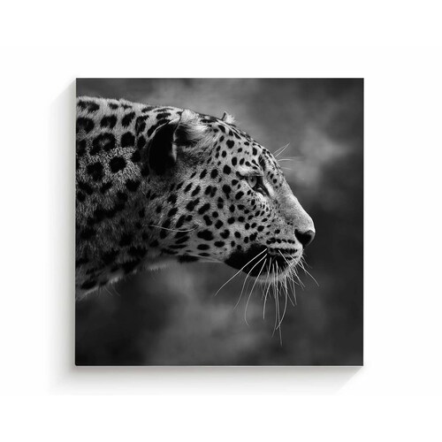 Cuadro Decorativo Canvas retrato de Leopardo 30x30