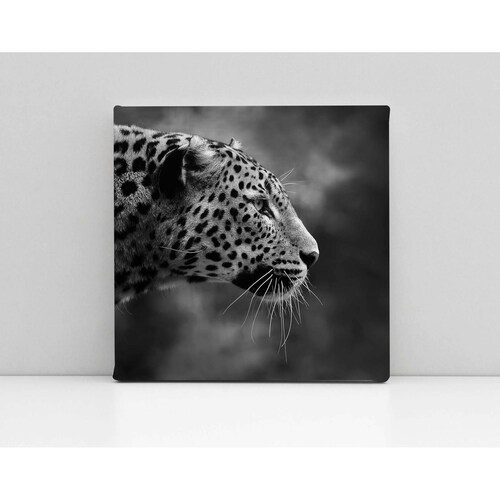 Cuadro Decorativo Canvas retrato de Leopardo 30x30