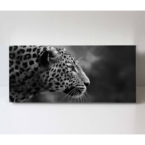 Cuadro Decorativo Canvas retrato de Leopardo 80x40