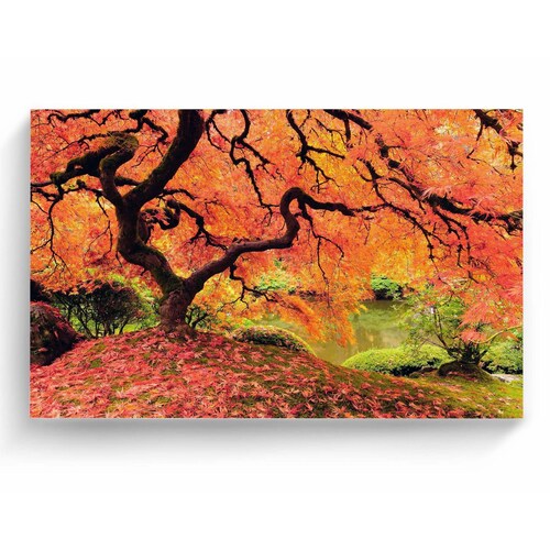 Cuadro Decorativo Canvas Magnífico Árbol Naranja 135x90