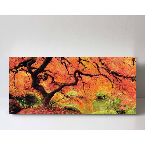 Cuadro Decorativo Canvas Magnífico Árbol Naranja 200x100