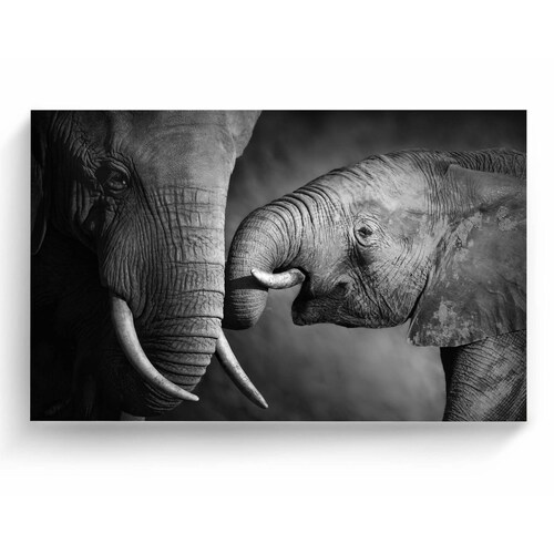 Cuadro Decorativo Canvas Familia de elefantes  45x30