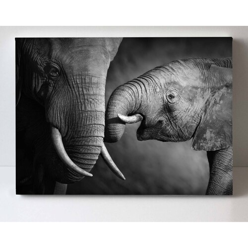 Cuadro Decorativo Canvas Familia de elefantes  45x30