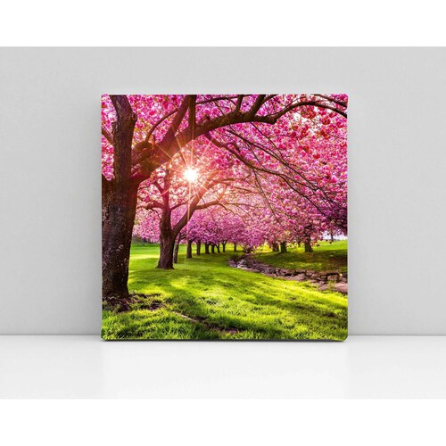 Cuadro Decorativo Canvas Parque Hurd Nva. Jersey 50x50