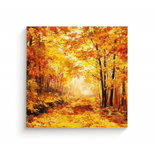 Cuadro Decorativo Canvas Bosque de otoño 30x30