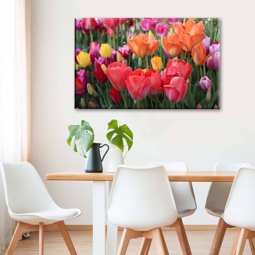 Cuadro Decorativo Canvas Campo de tulipanes 150x100