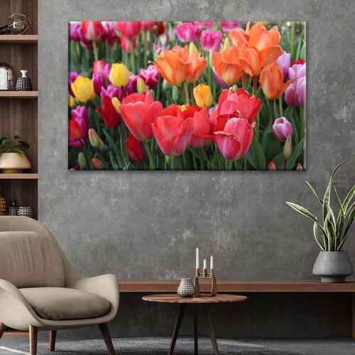Cuadro Decorativo Canvas Campo de tulipanes 150x100