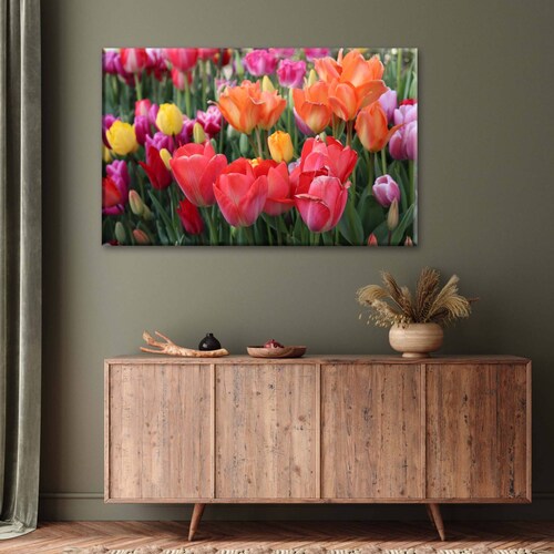 Cuadro Decorativo Canvas Campo de tulipanes 150x100