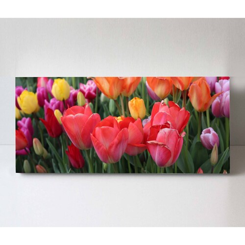 Cuadro Decorativo Canvas Campo de tulipanes 120x60
