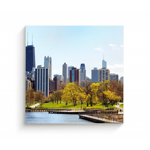 Cuadro Decorativo Canvas Parque Lincoln, Chicago  70x70