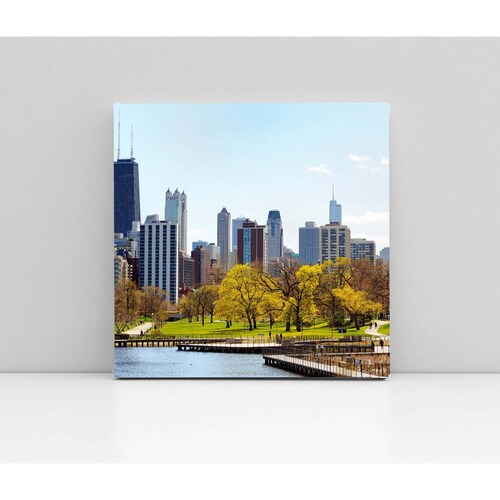 Cuadro Decorativo Canvas Parque Lincoln, Chicago  70x70