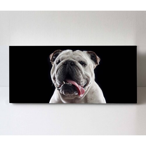 Cuadro Decorativo Canvas Retrato Bulldog inglés 160x80