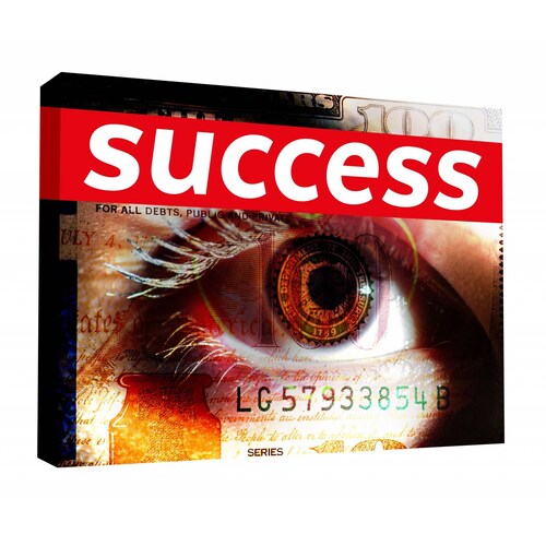 Cuadro Decorativo Canvas Éxito 50x50