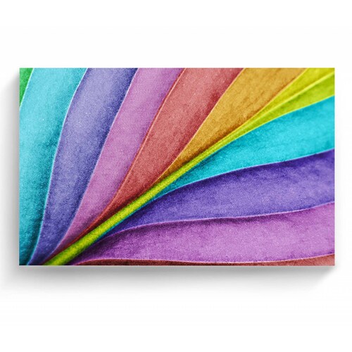 Cuadro Decorativo Canvas Hoja de color 75x50