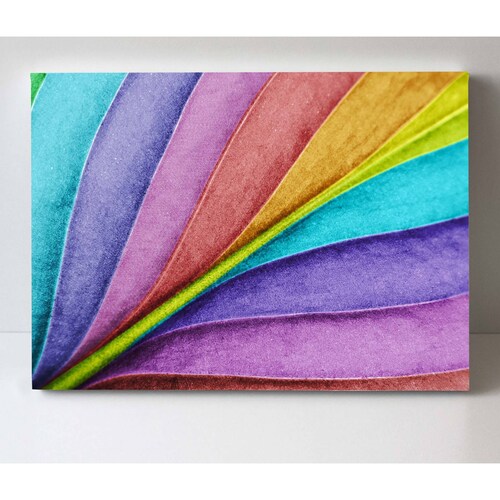 Cuadro Decorativo Canvas Hoja de color 75x50
