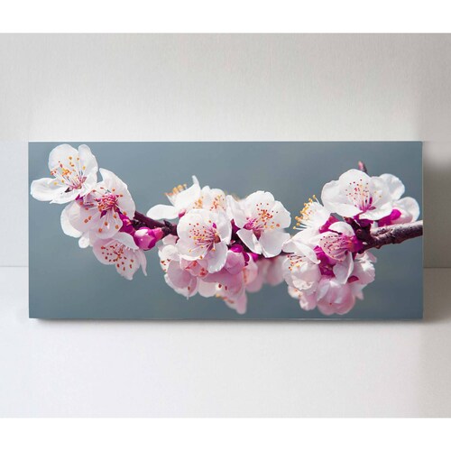 Cuadro Decorativo Canvas Flor de Cerezo 100x50