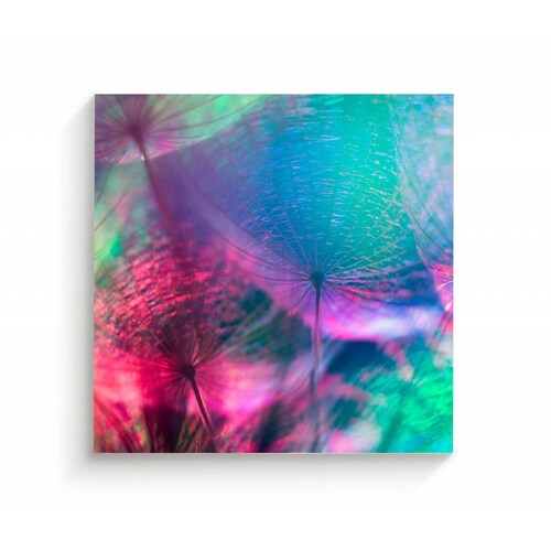 Cuadro Decorativo Canvas Fondo de Colores 130x130