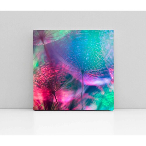 Cuadro Decorativo Canvas Fondo de Colores 100x100