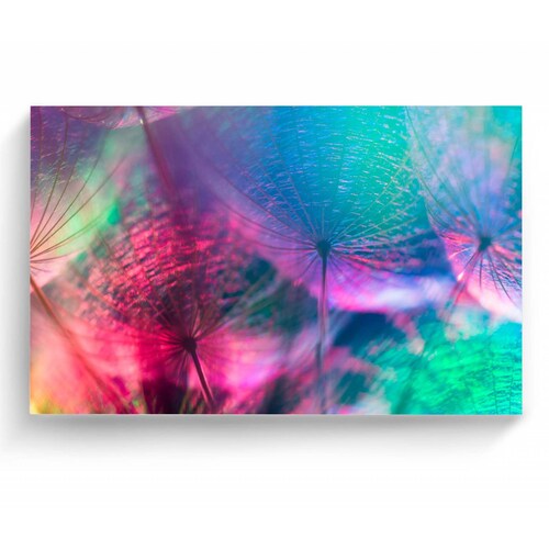 Cuadro Decorativo Canvas Fondo de Colores 150x100