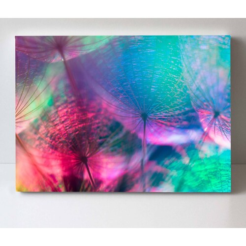 Cuadro Decorativo Canvas Fondo de Colores 75x50