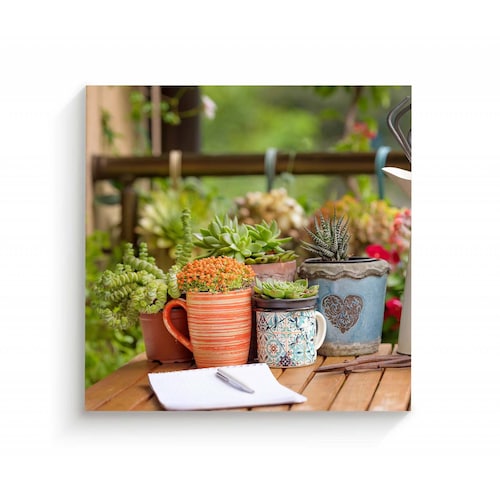 Cuadro Decorativo Canvas Plantas decorativas 100x100