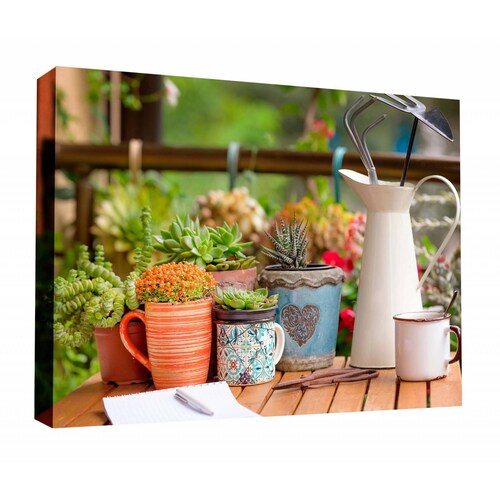 Cuadro Decorativo Canvas Plantas decorativas 75x50