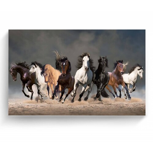 Cuadro Decorativo Canvas Manada de caballos 150x100