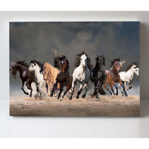 Cuadro Decorativo Canvas Manada de caballos 150x100