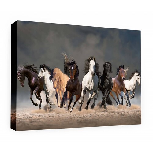 Cuadro Decorativo Canvas Manada de caballos 150x100