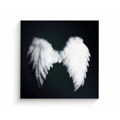 Cuadro Decorativo Canvas Alas de Ángel 100x100