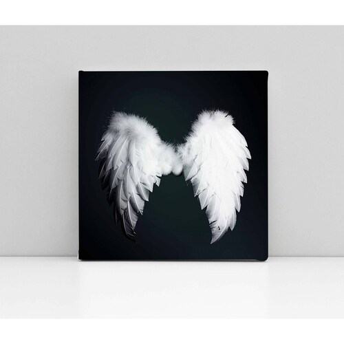 Cuadro Decorativo Canvas Alas de Ángel 100x100