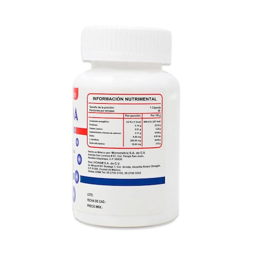 Suplemento Vicham Carnitina 60 Caps 450Mg Alfa Vich 