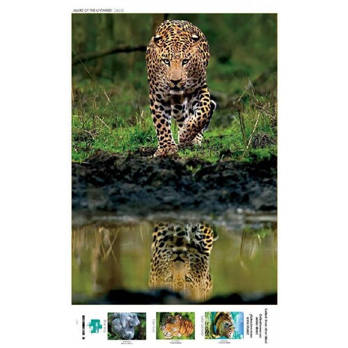 Rompecabezas, Puzzle El Encanto De Lo Salvaje, 500 Pz Bufalo 
