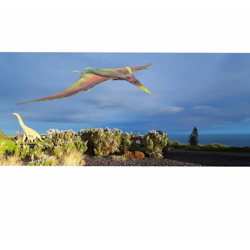 Juguete De Dinosaurio Volador, Realista  56 X 43 Cm 