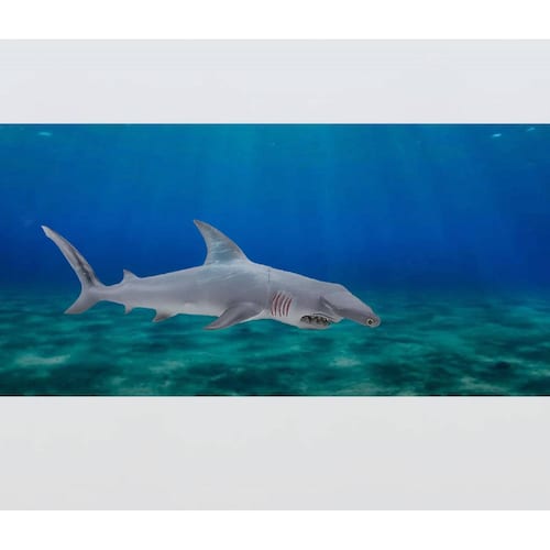 Grandes Juguetes De Dinosaurios Jurassic Tiburon Martillo 